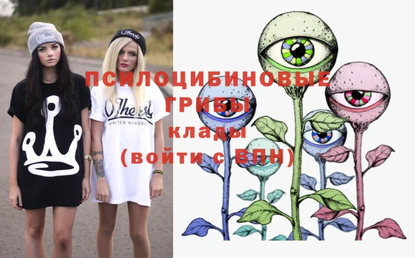 кокс Медвежьегорск