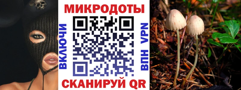 закладка  Калининград  Галлюциногенные грибы Magic Shrooms 